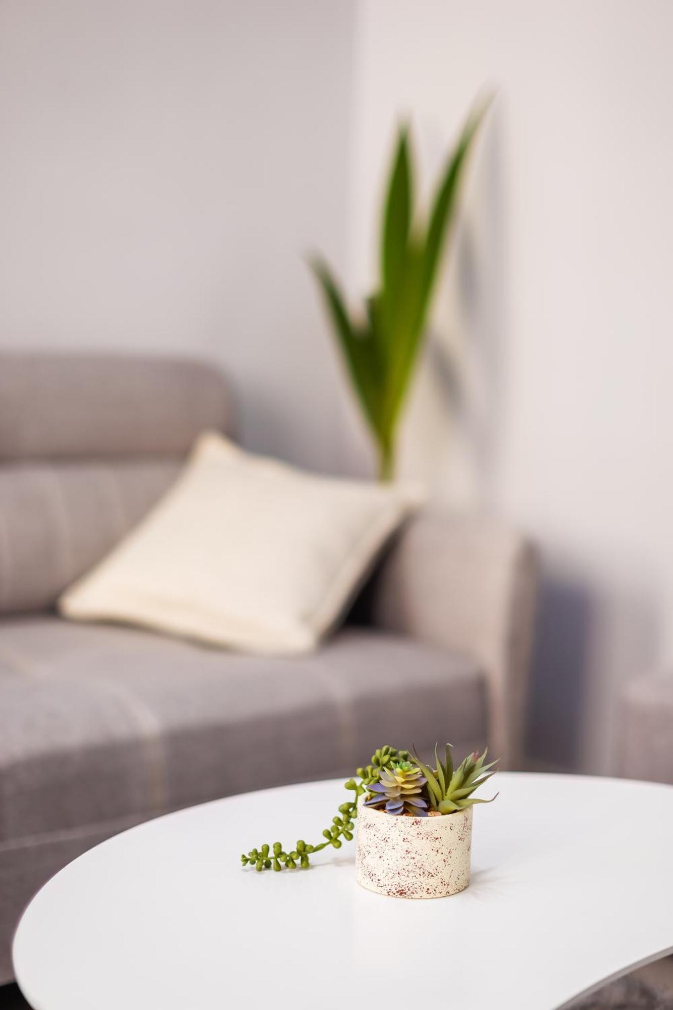 Viewpoint Central Apartment Тирана Экстерьер фото